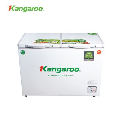 Tủ đông kháng khuẩn Kangaroo 252L KG400IC2