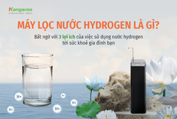 Máy lọc nước hydrogen là gì? Bất ngờ với 3 lợi ích nước hydrogen với sức khoẻ gia đình bạn!