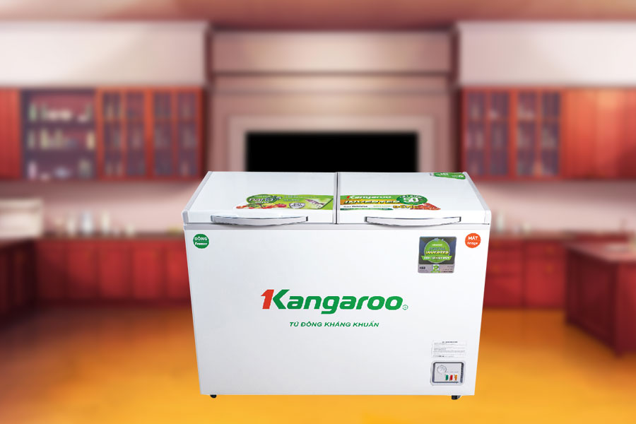 Tủ đông kháng khuẩn Kangaroo 252L KG400IC2