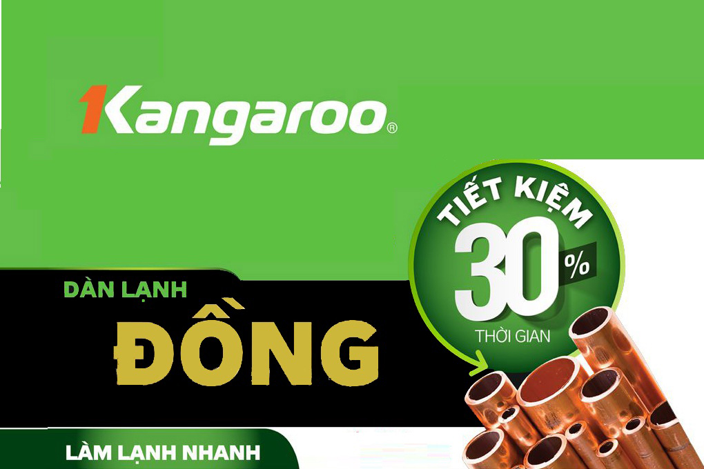 Tủ đông kháng khuẩn Kangaroo 286L KG399NC1